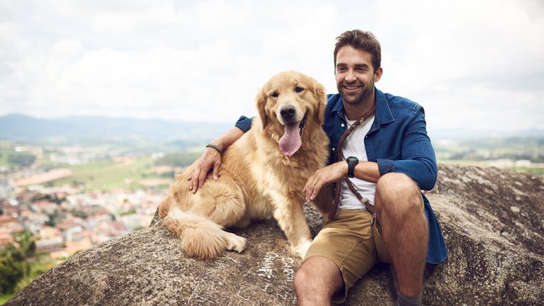 Traveling with Pets: Essential Tips for a Safe and Enjoyable Journey